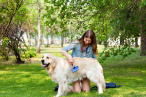 Read more about the article Golden Retriever Grooming 101: How to Keep That Coat Shiny and Healthy