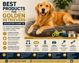 Read more about the article Why Choosing the Right Products Matters for Golden Retrievers
